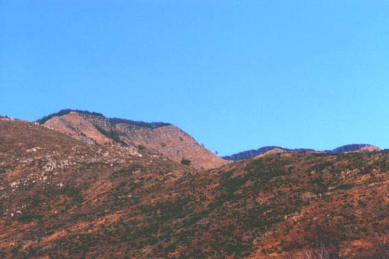 avsp78.JPG (26548 byte)