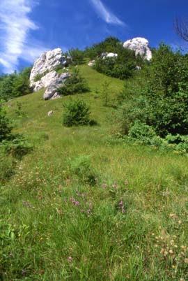 alassio14.JPG (29413 byte)