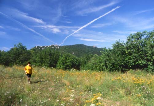 alassio15.JPG (36518 byte)