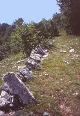 alassio17.JPG (28338 byte)