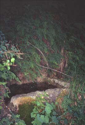 alassio21.JPG (21944 byte)