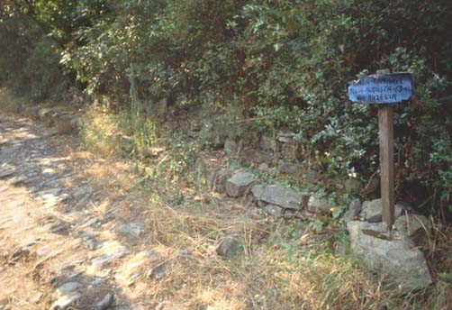 alassio6.JPG (43066 byte)