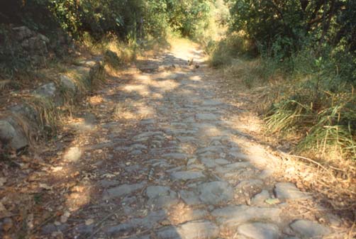 alassio7.JPG (40496 byte)