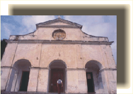 trenosp10.gif (31317 byte)