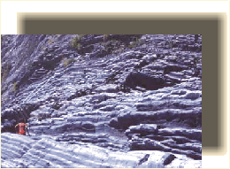 trenosp6.gif (40110 byte)