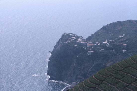 5terre26.JPG (21530 byte)