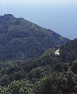 5terre28.JPG (17763 byte)