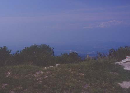 magg21.JPG (10981 byte)