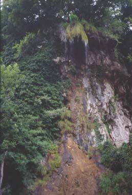 magg22.JPG (22990 byte)