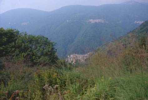 magg23.JPG (23890 byte)