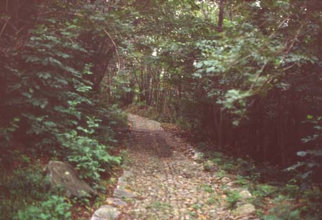 magg27.JPG (32666 byte)