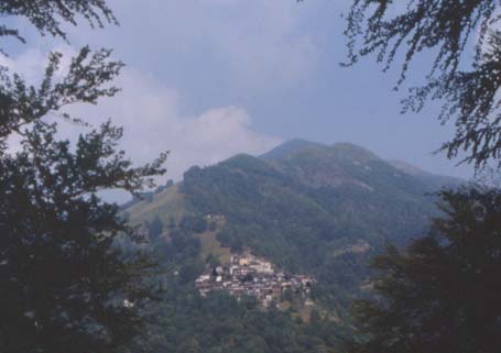 magg29.JPG (21506 byte)