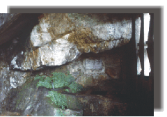 luogsenario2montesenario2.gif (34653 byte)