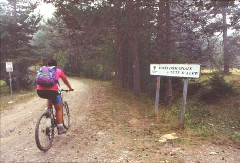 mar20.JPG (33461 byte)