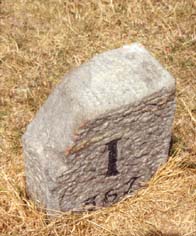 mar23media.JPG (19307 byte)