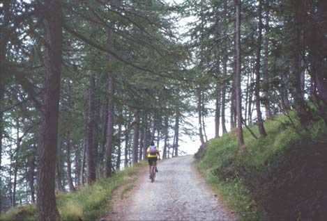 mar26.JPG (34795 byte)