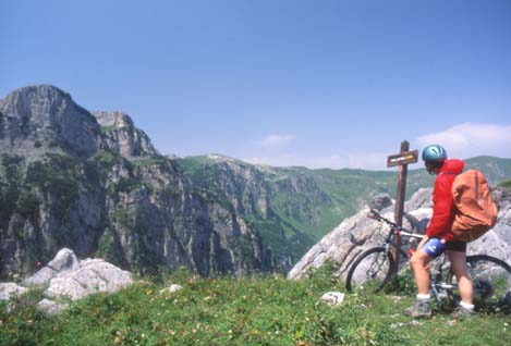 mar28.JPG (27279 byte)