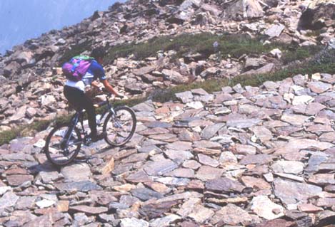 mar31.JPG (47206 byte)