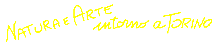 titolo auto torino4.GIF (2814 byte)