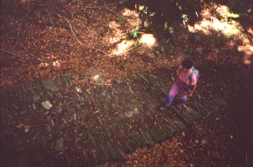 campana6.JPG (35839 byte)