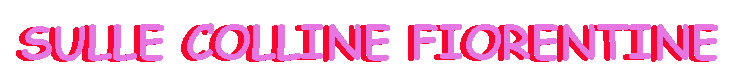 titolocollinefirenze1.GIF (3508 byte)