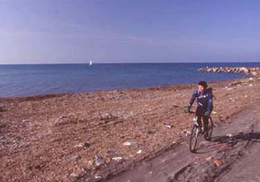 leggi l'intero articolo