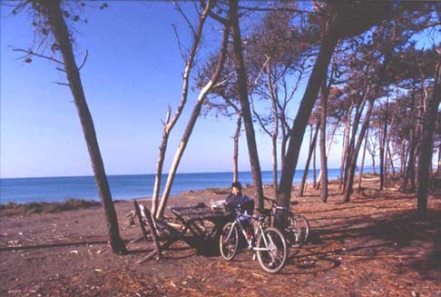 cecinabici5.JPG (37228 byte)