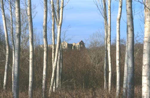 sangalgano10.JPG (36125 byte)