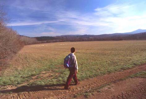 sangalgano3.JPG (24807 byte)