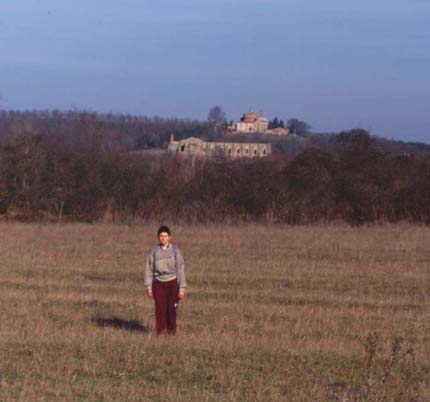 sangalgano4.JPG (20016 byte)