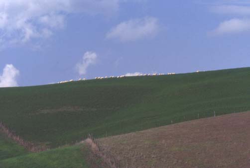 volterra13.JPG (11461 byte)