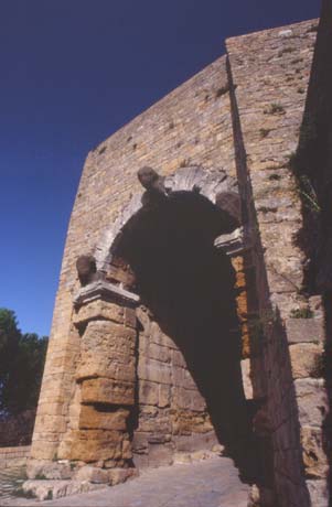 volterra16.JPG (24028 byte)