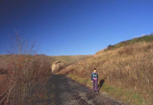 volterra3.JPG (21654 byte)