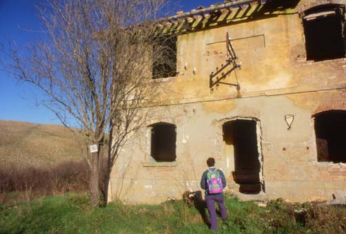 volterra5.JPG (36833 byte)