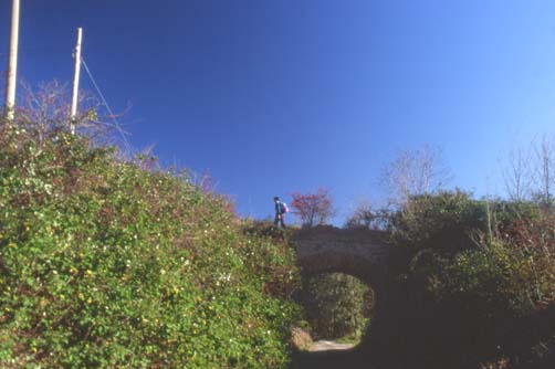 volterra6.JPG (27955 byte)