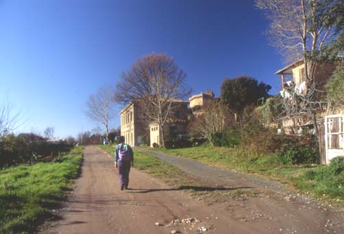 volterra7.JPG (30236 byte)