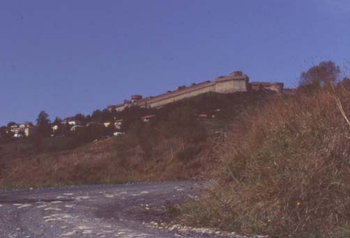 volterra9.JPG (18717 byte)