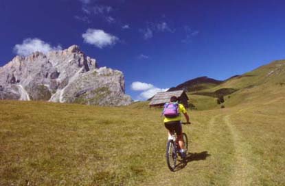 leggi l'intero articolo