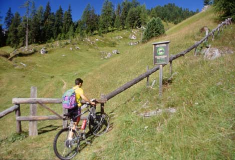 puez18.JPG (34906 byte)