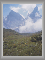 fiemme13.gif (31284 byte)