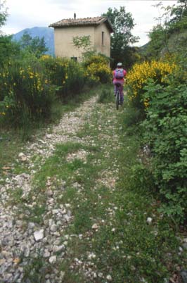 spoletonorcia18.JPG (30328 byte)