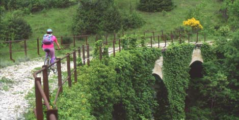 spoletonorcia4.JPG (28169 byte)