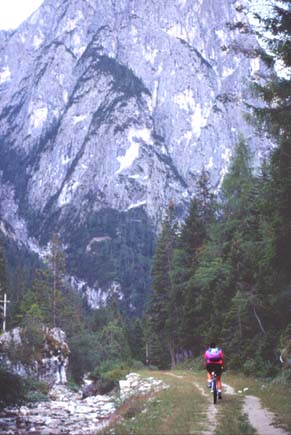 cortina4.JPG (33055 byte)