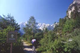 cortina5media.JPG (13206 byte)