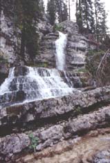 cortina9media.JPG (16181 byte)