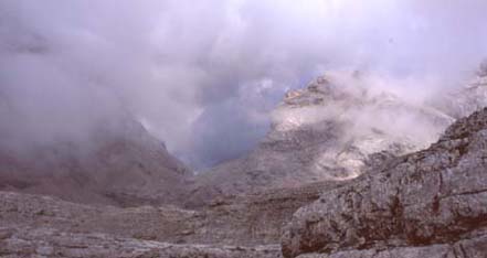 leggi l'intero articolo