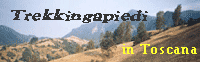 LOGO2.gif (6701 byte)