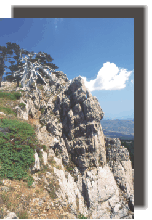 pollino10.gif (27167 byte)