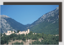 pollino12.gif (24300 byte)