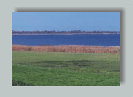 comacchiomerav1.gif (24103 byte)